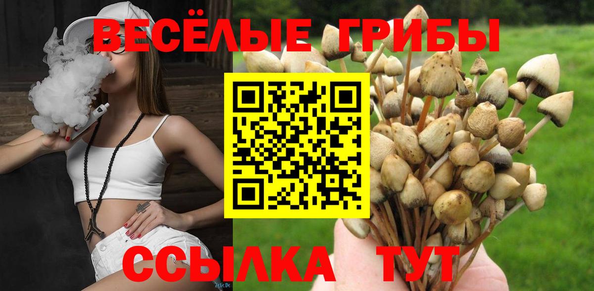 Галлюциногенные грибы мухоморы  Вход с VPN  где можно купить   Вязьма  Галлюциногенные грибы Psilocybe 