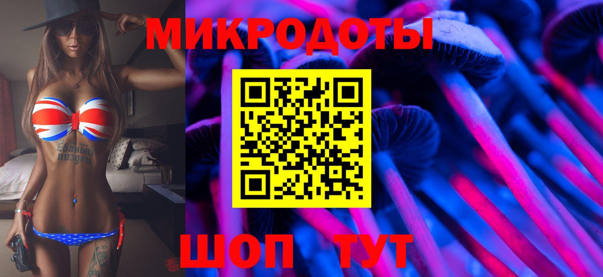 Псилоцибиновые грибы Cubensis Вязьма